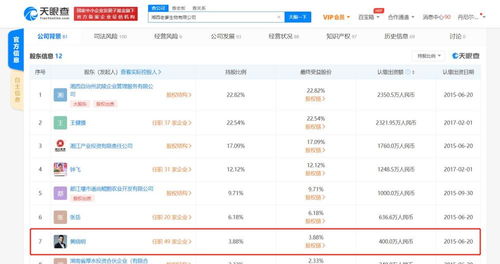 技术转让 驱动创新与经济发展的关键桥梁